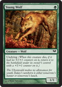 Magic: the Gathering Spoiler Cards - Wolf