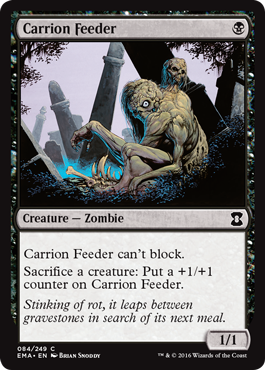 carrion feeder