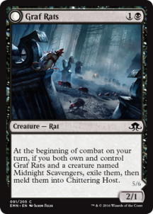 Magic: the Gathering Spoiler Cards - Rat