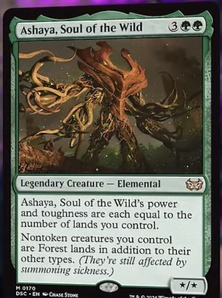 Ashaya, Soul of the Wild