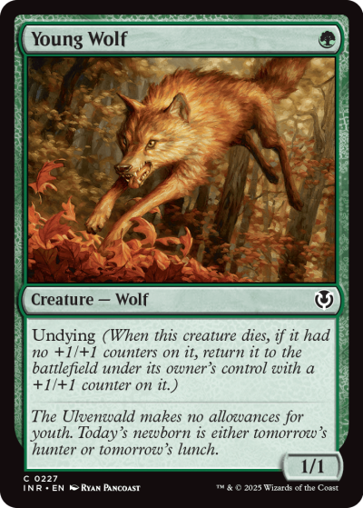 Young Wolf - Innistrad Remastered Spoiler